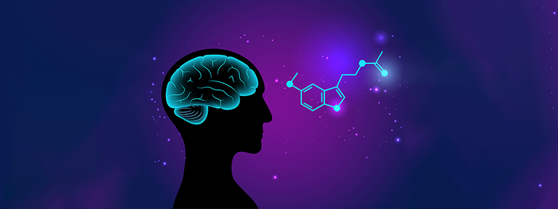 Vector image of person and brain with melatonin chemical formula