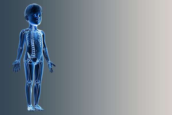 3D Rendering of skeleton of child