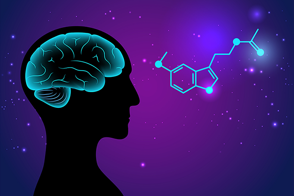Vector image of person with brain and chemical formula of melatonin