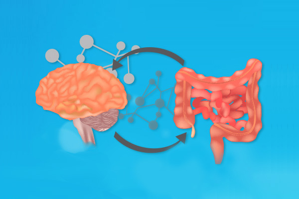 Brain and colon illustration