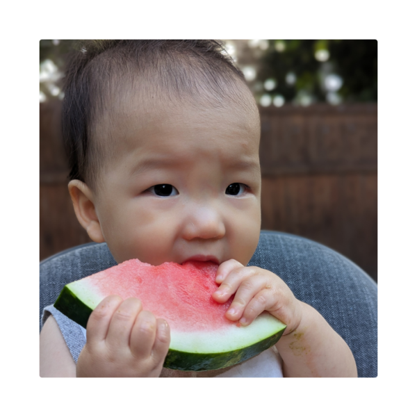 HYBRID EVENT: Introduction to Pediatric Nutrition (October 27 and November 3, 2025)