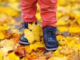 LIVE VIRTUAL: Fall Community Health Summit (October 08, 2025)