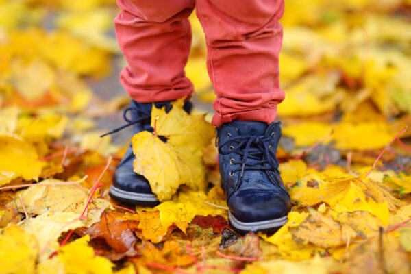 LIVE VIRTUAL: Fall Community Health Summit (October 08, 2025)