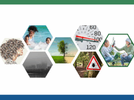Climate Change and Health (20 min.)