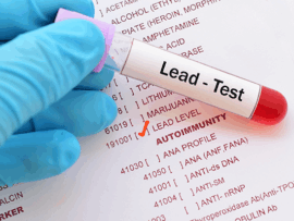 Partnering to Protect Our Children’s Future Through Lead Poisoning Prevention (1 hr)